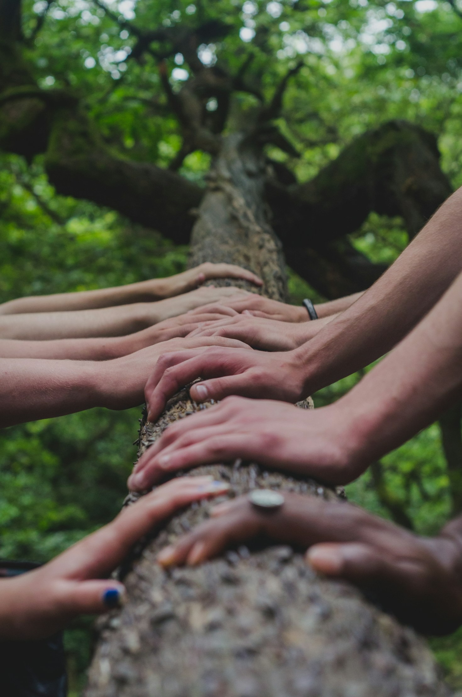 Como a cultura promove a inclusão e a equidade